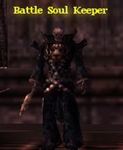 Battle Soul Keeper